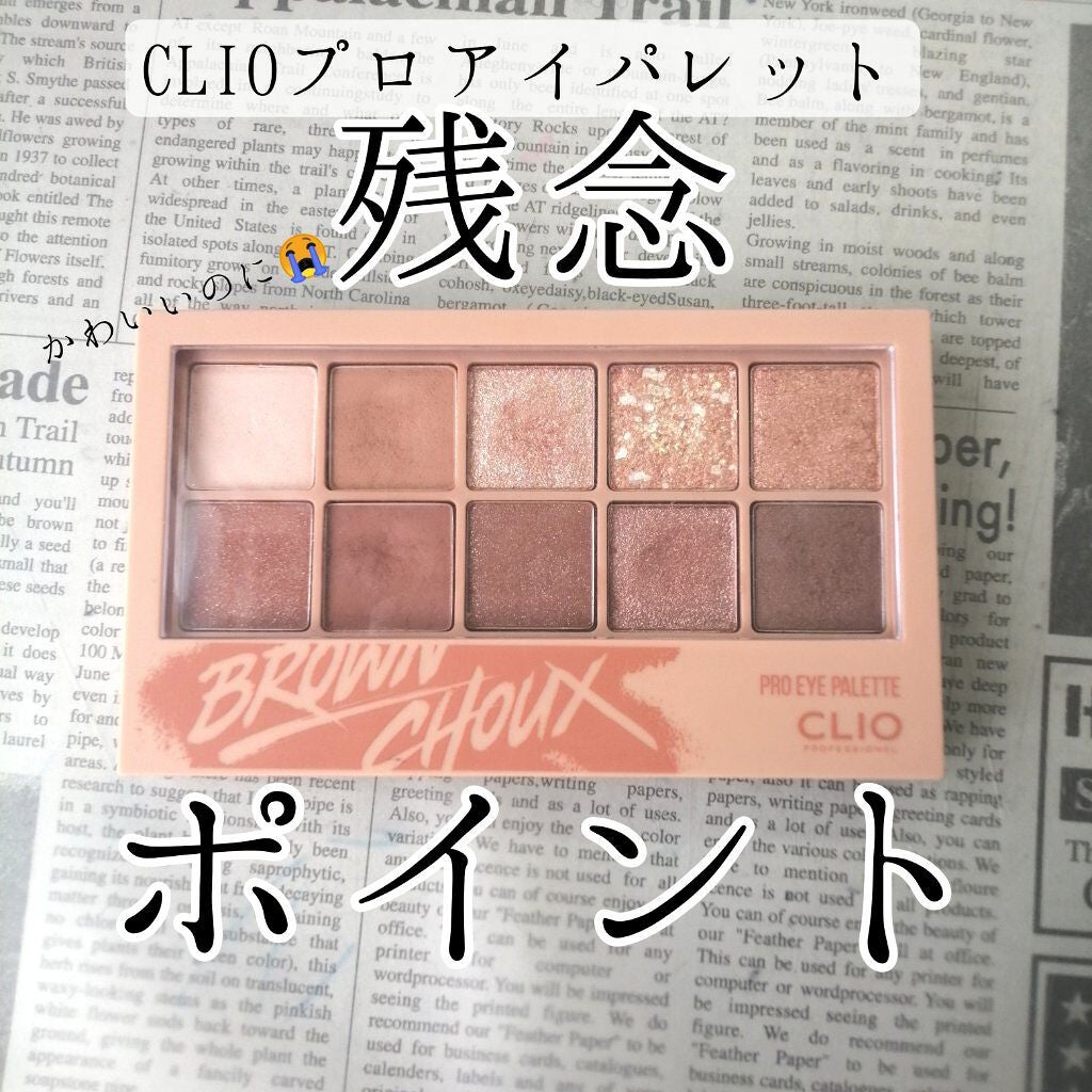 プロ アイ パレット/CLIO/アイシャドウパレットを使ったクチコミ(1枚目)