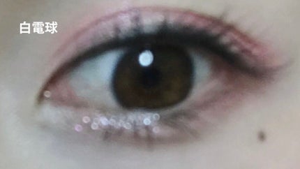 トゥー フェム アイシャドウ パレット/Too Faced/アイシャドウパレットを使ったクチコミ(6枚目)