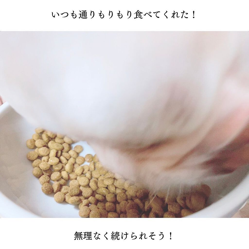 えび松(春br) on LIPS 「ペットライン株式会社様よりメディコート<pHサポート>1歳か..」(6枚目)