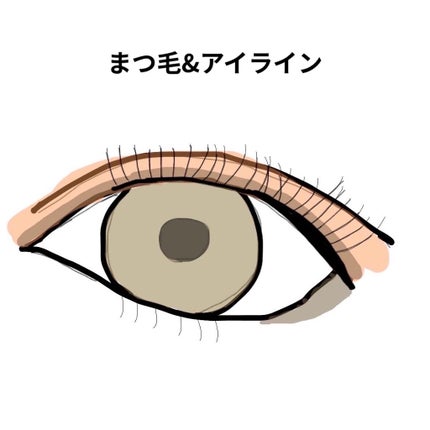 スプリングパワーカーラー/excel/ビューラーを使ったクチコミ(4枚目)