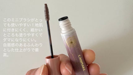スマートミニアイブロウカラー/キャンメイク/眉マスカラを使ったクチコミ(2枚目)
