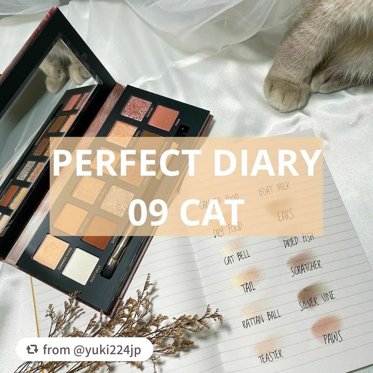 エクスプローラ12色 動物アイシャドウパレット/PERFECT DIARY/アイシャドウパレットを使ったクチコミ(1枚目)