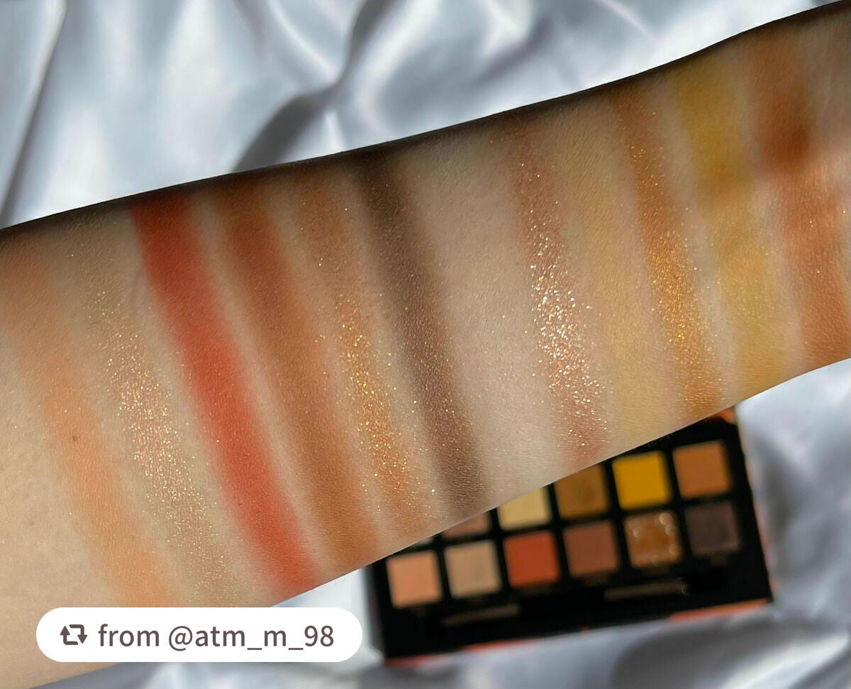 エクスプローラ12色 動物アイシャドウパレット/PERFECT DIARY/アイシャドウパレットを使ったクチコミ(3枚目)