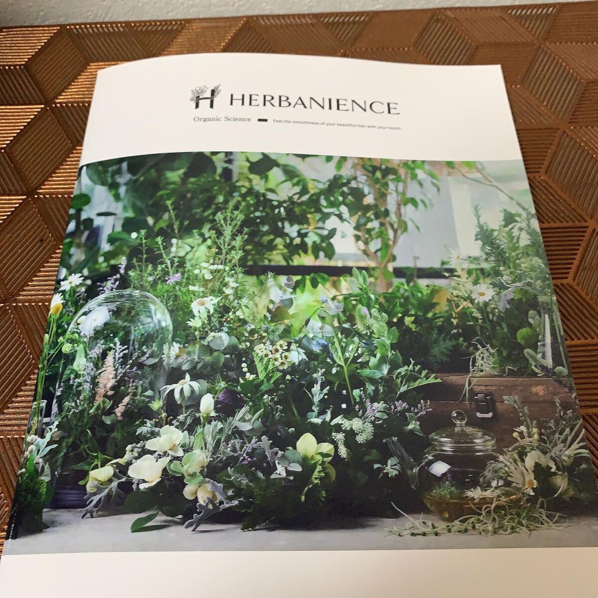 ハーバニエンス シャンプー・コンディショナー(シトラス＆ラベンダー)/HERBANIENCE/市販シャンプーを使ったクチコミ（2枚目）