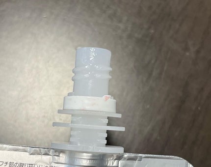 リップアーマーⅩ/KiSS/口紅を使ったクチコミ(6枚目)