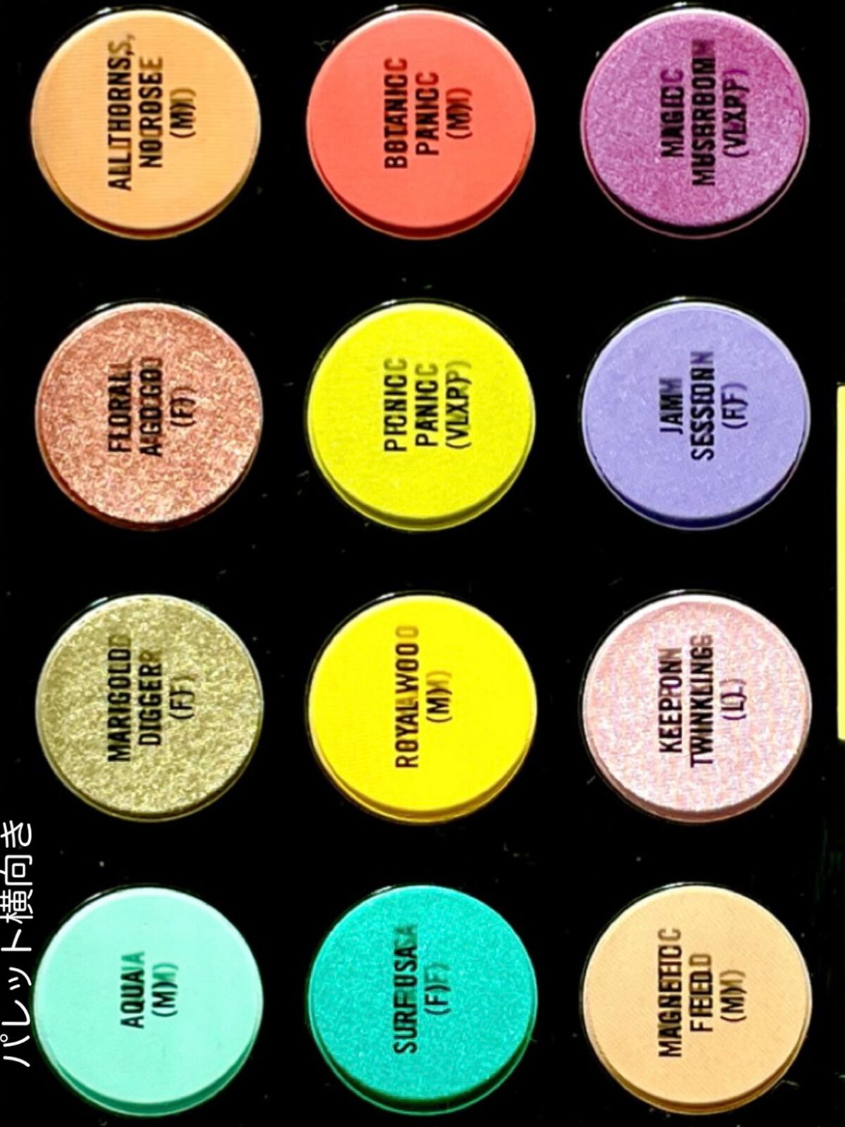 スモール アイシャドウ × 12 (ボタニック パニック)/M・A・C/アイシャドウパレットを使ったクチコミ(2枚目)