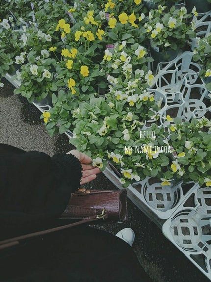 ウォーターコンク リペアヘアオイル/ululis/ヘアオイルを使ったクチコミ(2枚目)