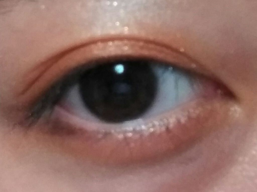 シャドーカスタマイズ OR300　みちしるべ/MAJOLICA MAJORCA/単色アイシャドウを使ったクチコミ（3枚目）