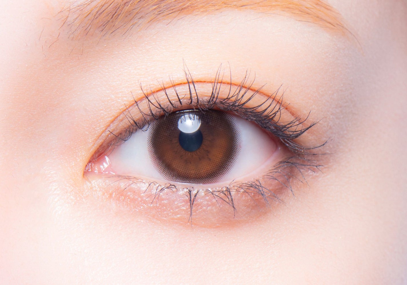 melotte 1day モアレディ