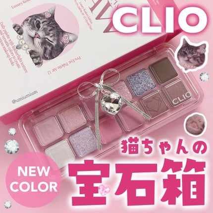 プロ アイ パレット エアー/CLIO/アイシャドウパレットを使ったクチコミ(1枚目)