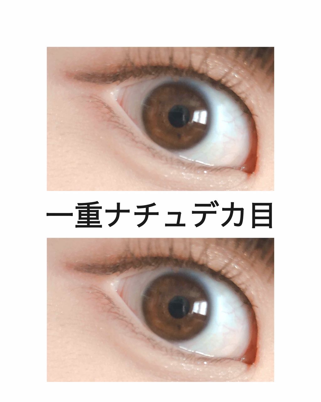 ミニアイラッシュカーラー/マペペ/ビューラーを使ったクチコミ（1枚目）