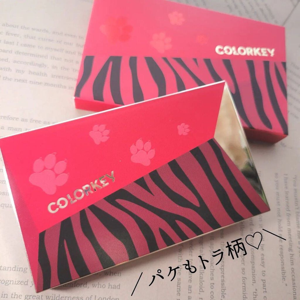トラ十色アイシャドウパレット/COLORKEY/アイシャドウパレットを使ったクチコミ(10枚目)