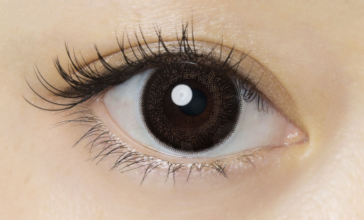 FLANMY 1day カカオワッフル