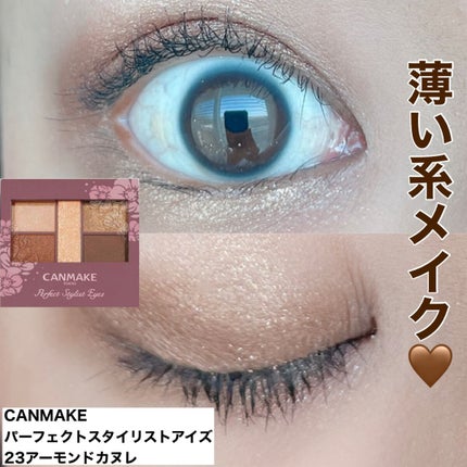 パーフェクトスタイリストアイズ/キャンメイク/アイシャドウパレットを使ったクチコミ(1枚目)