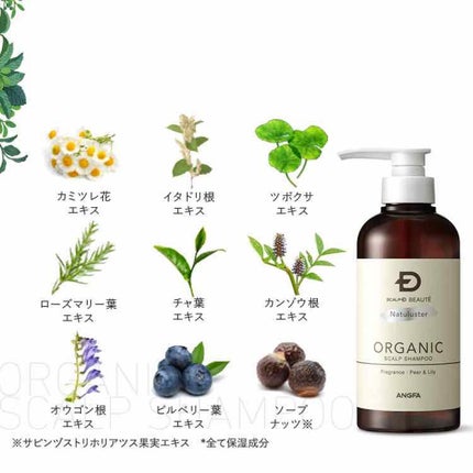 スカルプD ボーテ ナチュラスター スカルプシャンプー/トリートメントパック/アンファー(スカルプD)/シャンプー・コンディショナーを使ったクチコミ(4枚目)