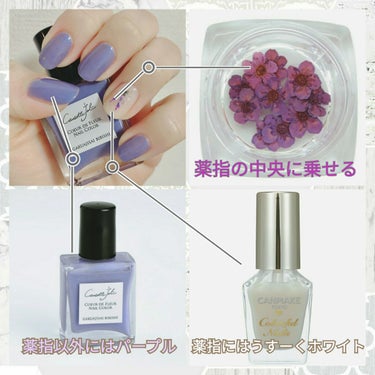 Coeur de Fleur Nail Color/Causette.Joli/マニキュアを使ったクチコミ（2枚目）