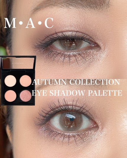 オータムコレクションアイシャドウパレット/M・A・C/アイシャドウパレットを使ったクチコミ(1枚目)