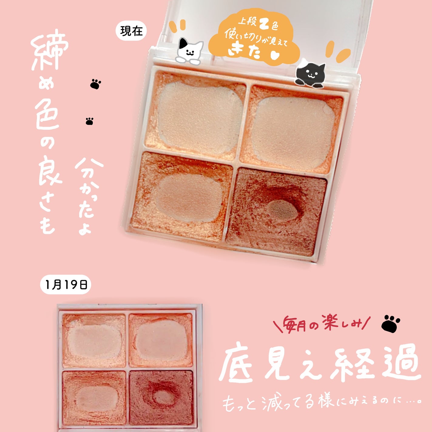 シルキースフレアイズ/キャンメイク/アイシャドウパレットを使ったクチコミ(1枚目)