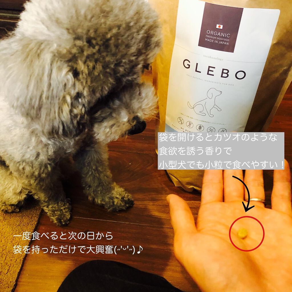 を使ったクチコミ（2枚目）