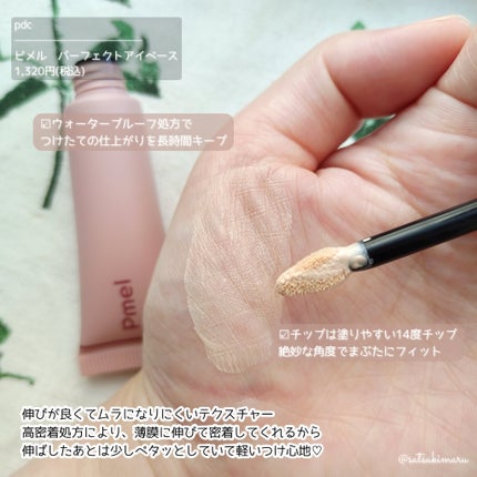 ピメル パーフェクトアイベース/pdc/アイシャドウベースを使ったクチコミ(4枚目)