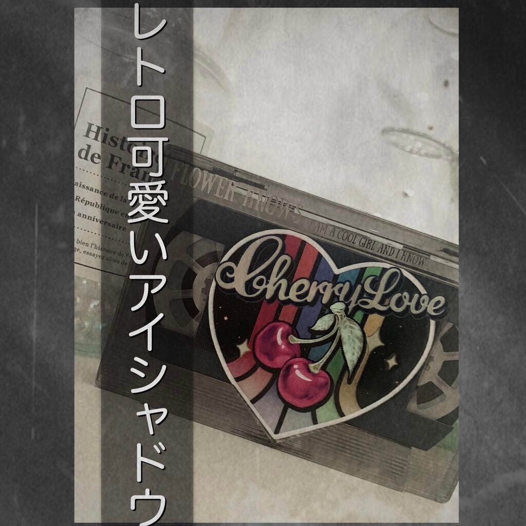 レトロマグネティック アイシャドウパレット/FlowerKnows/アイシャドウパレットを使ったクチコミ(1枚目)