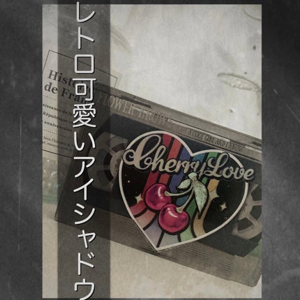 レトロマグネティック アイシャドウパレット/FlowerKnows/アイシャドウパレットを使ったクチコミ(1枚目)