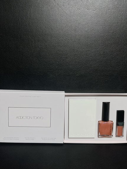 ホリデー アディクション サイレント ウィッシュⅡ /ADDICTION/メイクアップキットを使ったクチコミ(2枚目)