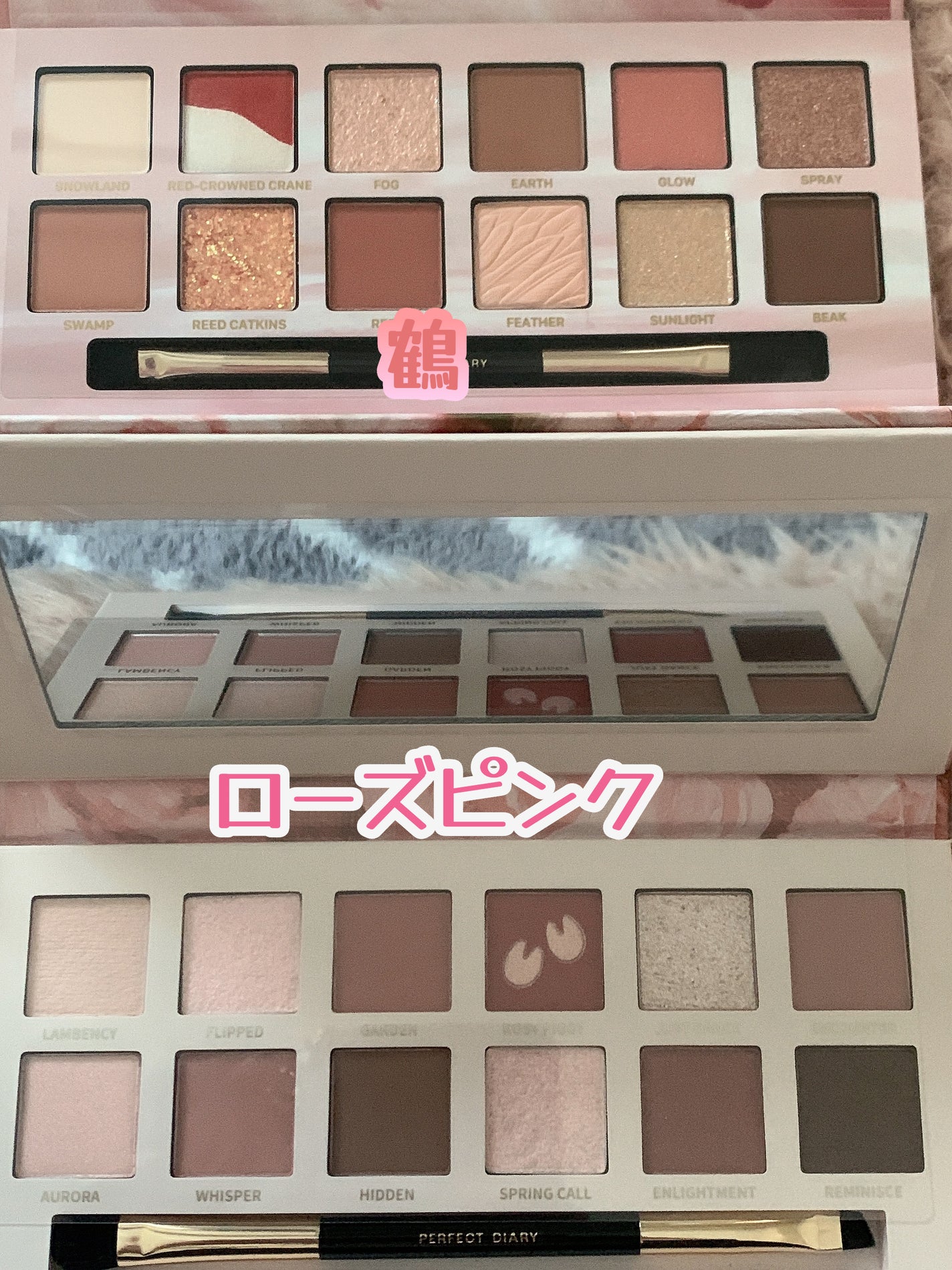 エクスプローラ12色 動物アイシャドウパレット/PERFECT DIARY/アイシャドウパレットを使ったクチコミ(2枚目)