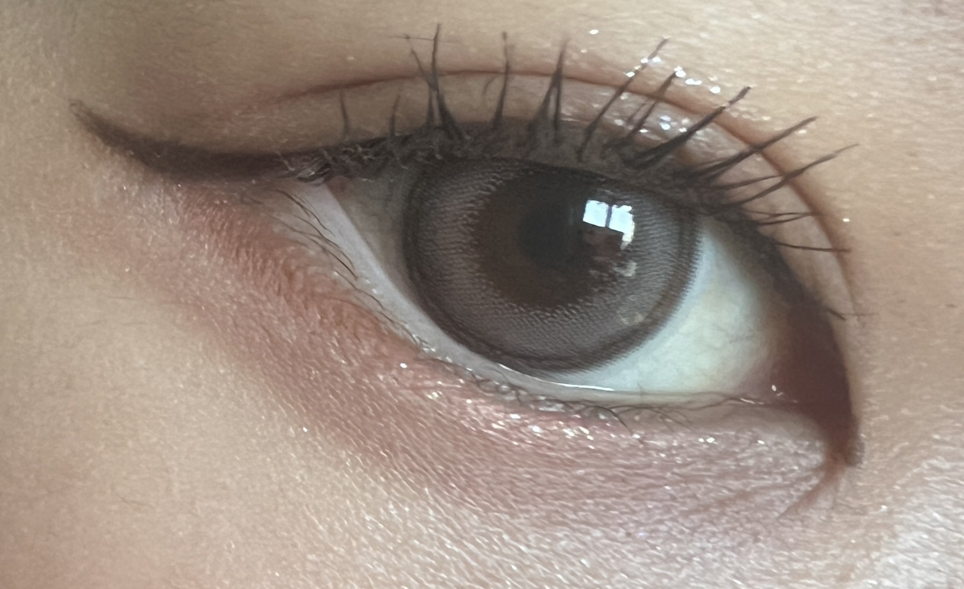 Angelcolor Bambi Series 1day /AngelColor/ワンデー（１DAY）カラコンを使ったクチコミ（3枚目）