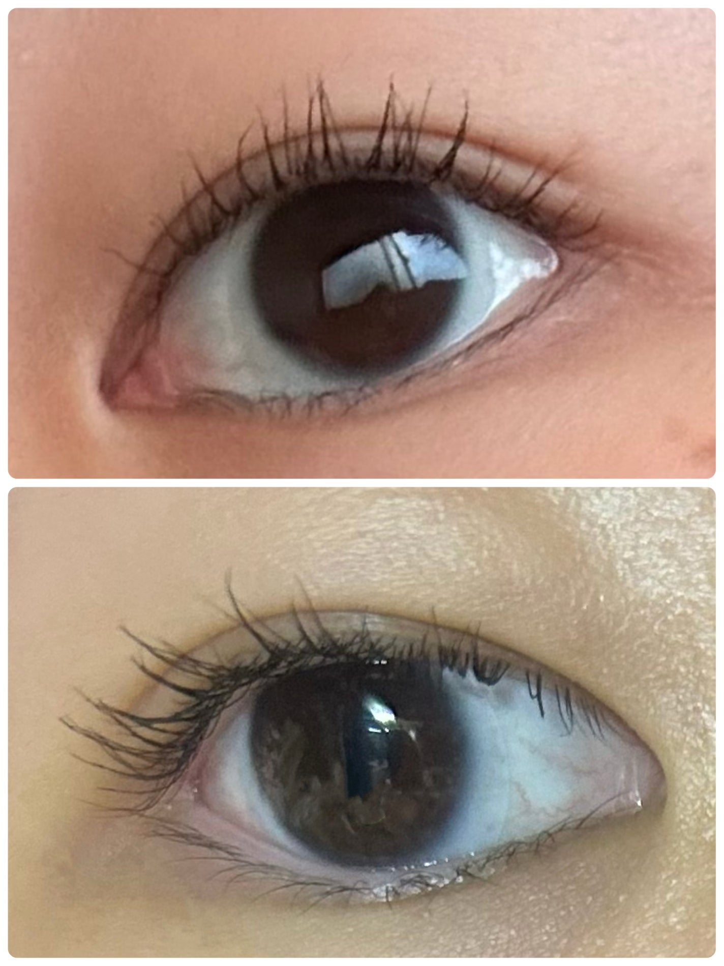 オールデイ ロング アンド カール マスカラ/Milk Touch/マスカラを使ったクチコミ(2枚目)