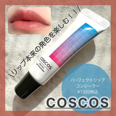 パーフェクトリップコンシーラー/COSCOS/コンシーラーを使ったクチコミ（1枚目）