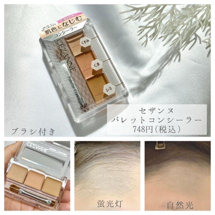 カラーミキシングコンシーラー/キャンメイク/パレットコンシーラーを使ったクチコミ(4枚目)