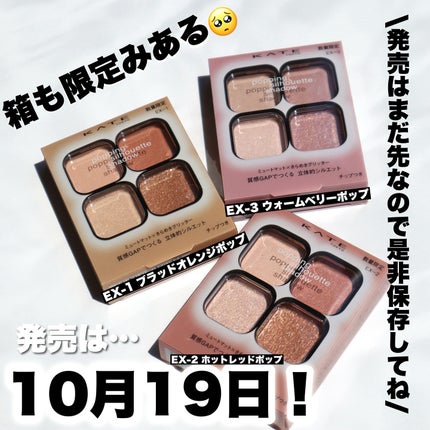 ケイト ポッピングシルエットシャドウ/KATE/アイシャドウパレットを使ったクチコミ(9枚目)