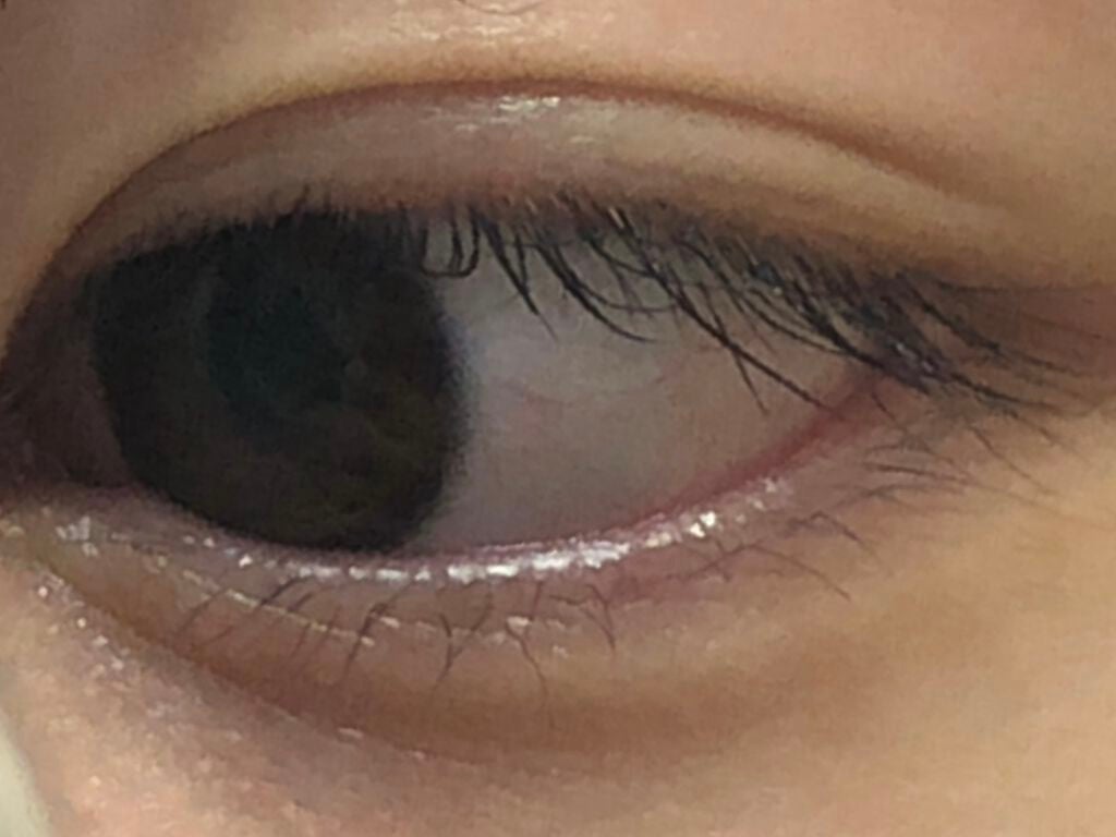 まつげ美容液EX/CEZANNE/まつげ美容液を使ったクチコミ(2枚目)