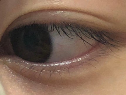 まつげ美容液EX/CEZANNE/まつげ美容液を使ったクチコミ(2枚目)