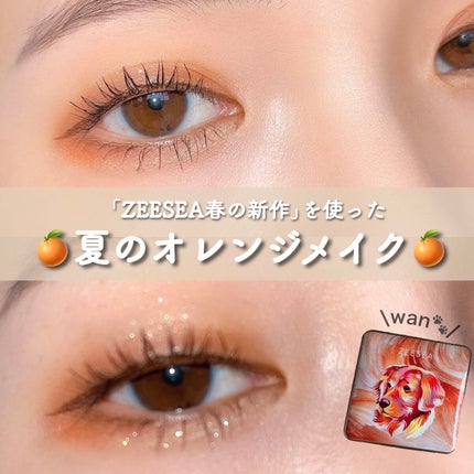 アニマルアイシャドウ(4シェード) D02 素直/ZEESEA/アイシャドウパレットを使ったクチコミ(1枚目)