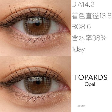 TOPARDS 1day/TOPARDS/ワンデー（１DAY）カラコンを使ったクチコミ（1枚目）