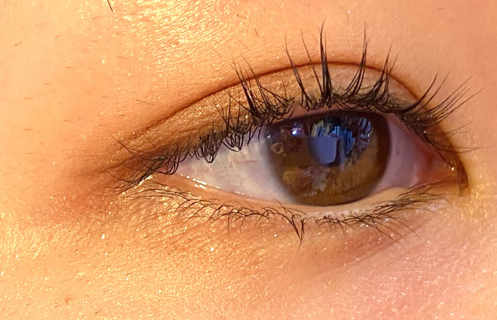 【旧品】パーフェクトスタイリストアイズ/キャンメイク/アイシャドウパレットを使ったクチコミ（1枚目）