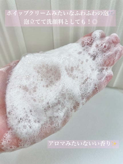 ホイップドヴィーガンパッククレンザーディスカバリーキット/WHIPPED/スキンケアキットを使ったクチコミ(6枚目)