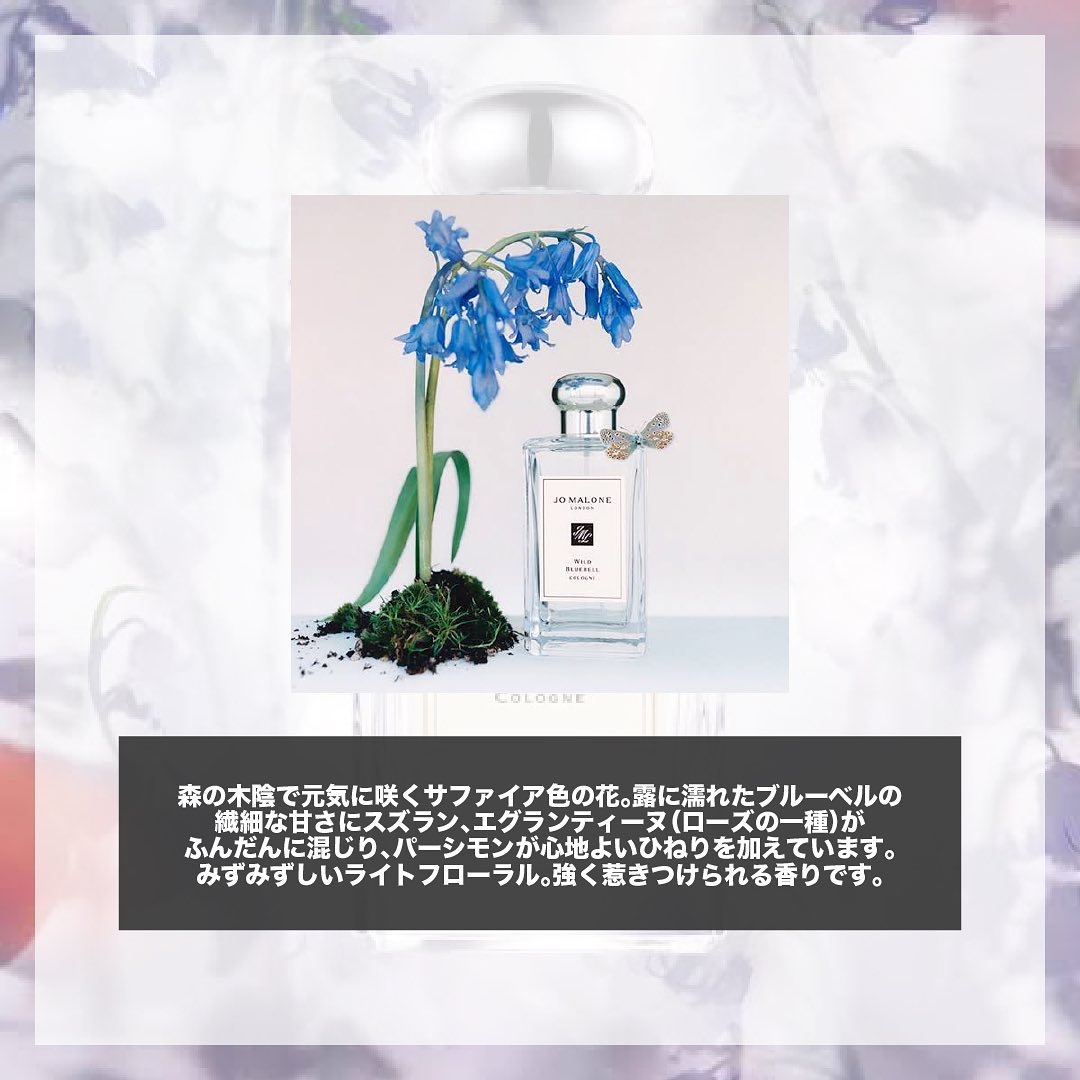 ワイルド ブルーベル コロン/Jo MALONE LONDON/香水(レディース)を使ったクチコミ（2枚目）