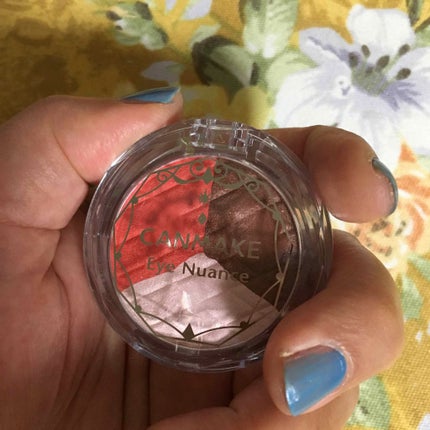 アイニュアンス/キャンメイク/アイシャドウパレットを使ったクチコミ(1枚目)