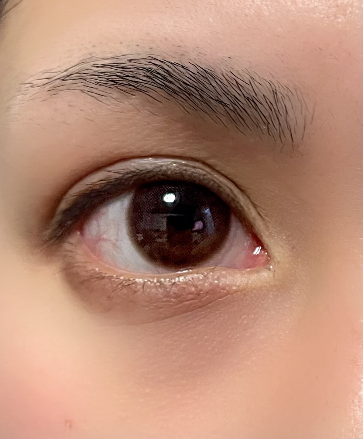 アイラッシュセラム/VIYEUX/まつげ美容液を使ったクチコミ（2枚目）