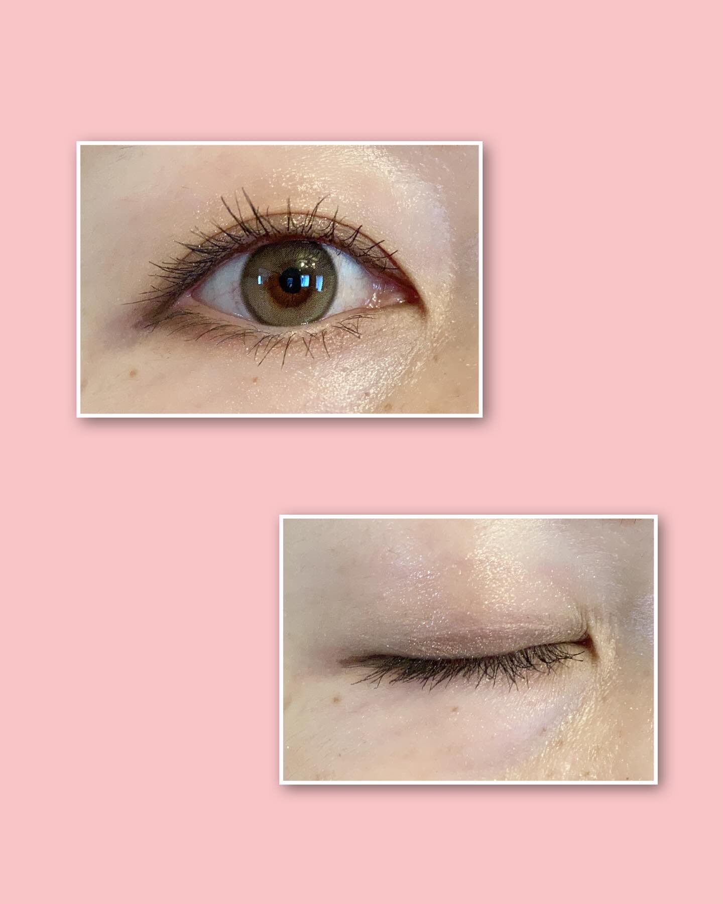 アイカラーパレット 03 テディココ/Upt/アイシャドウパレットを使ったクチコミ（3枚目）