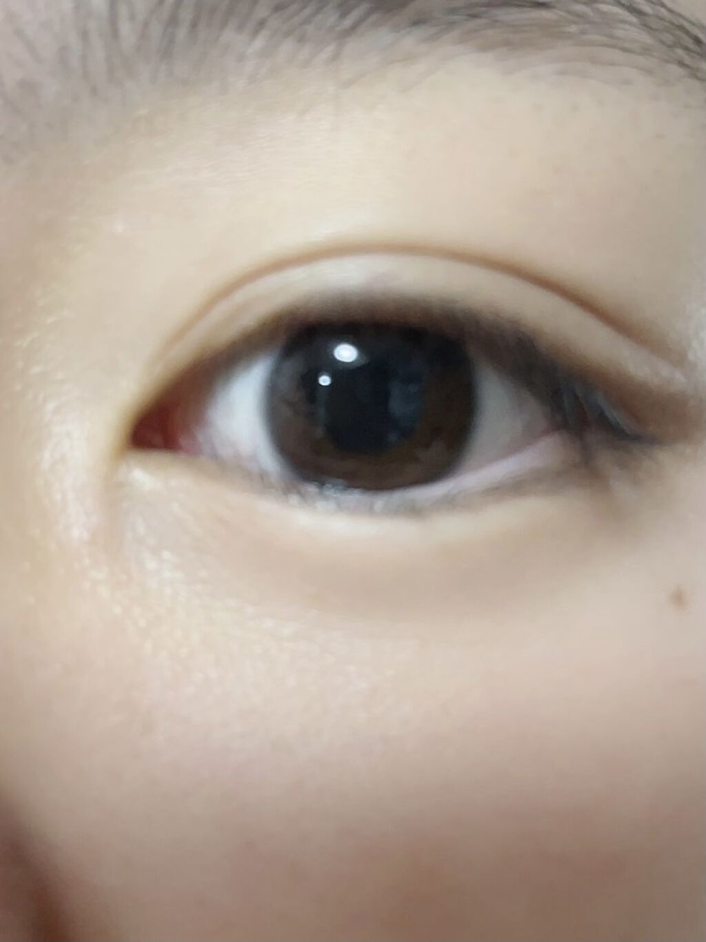 パーフェクトマルチアイズ/キャンメイク/アイシャドウパレットを使ったクチコミ（2枚目）