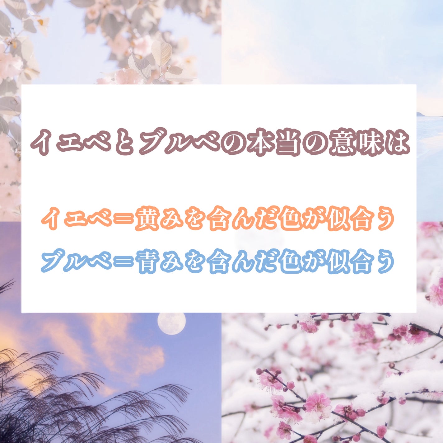 シェーディングパウダー/キャンメイク/シェーディングを使ったクチコミ(5枚目)