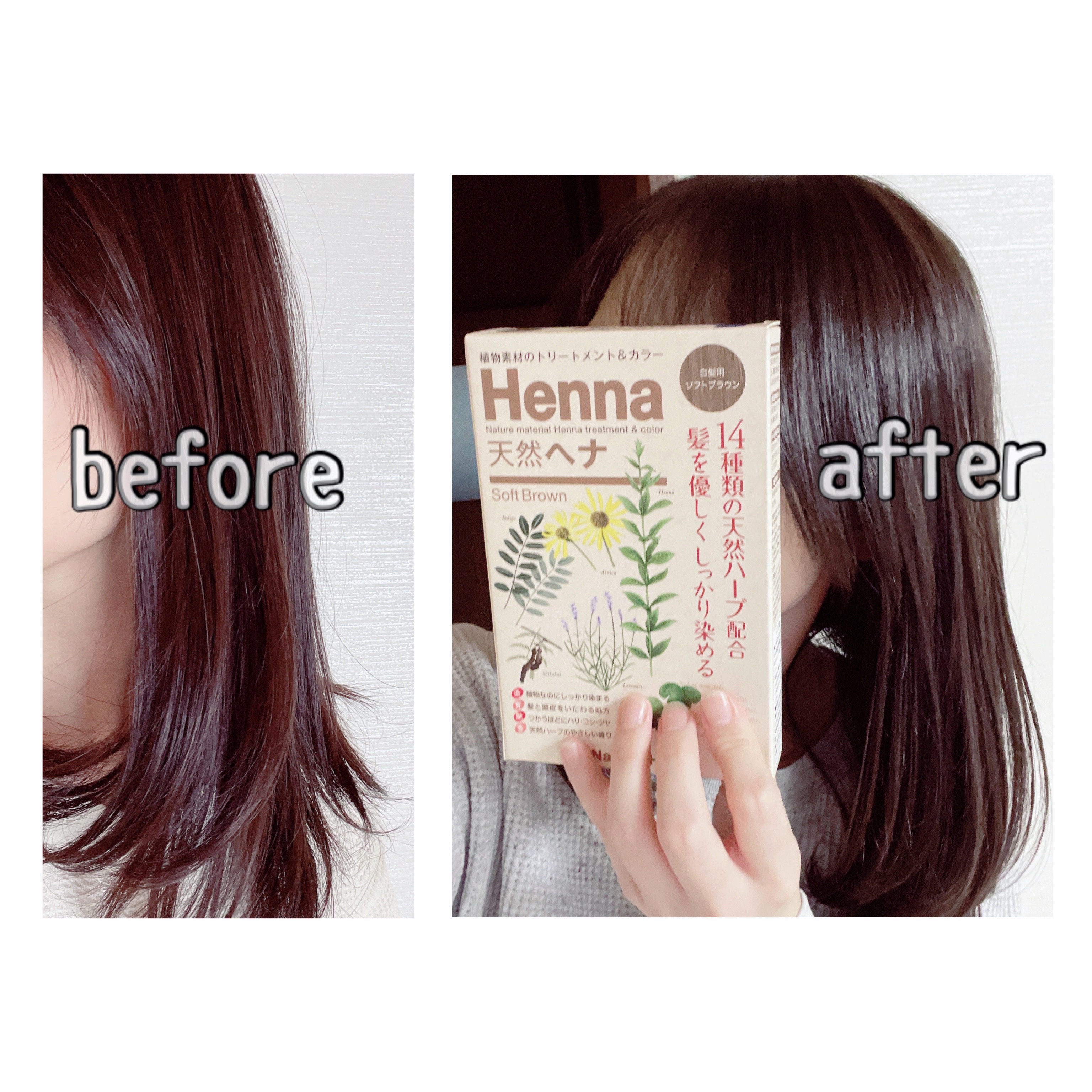 クイーンズヘナ・QUEENS HENNA ニューブラウンu0026レッド QUEENS HENNA レッド \u0026 ニューブラウン QUEENS HENNA クィーンズヘナ