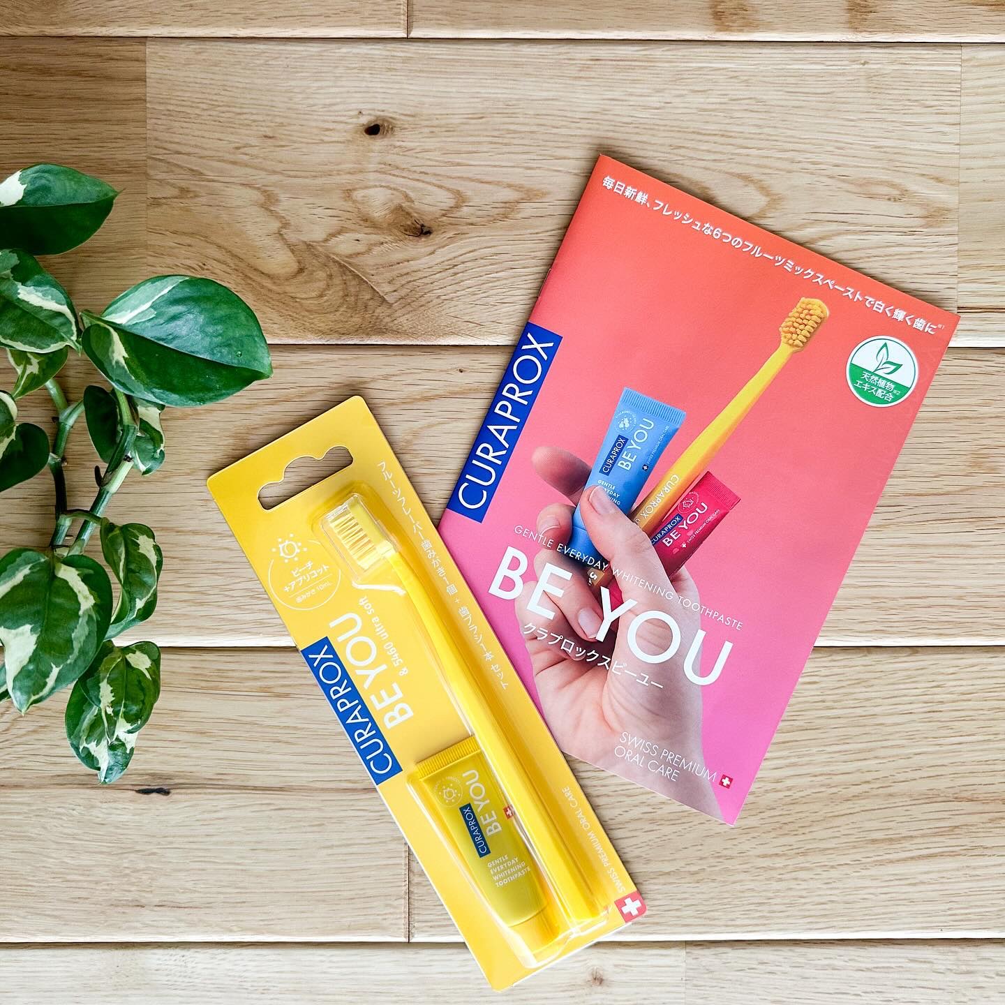 クラプロックスビーユー 歯ブラシ＋歯みがきパック　ピーチ＋アプリコット/CURAPROX/歯磨き粉を使ったクチコミ（1枚目）