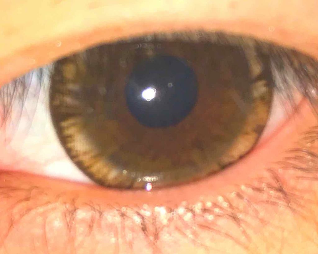 Rodeo VOYAGETahitiシリーズ/Rodeo/カラーコンタクトレンズを使ったクチコミ(2枚目)