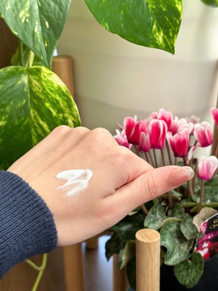 ルミネールスキップトーンアップクリーム/TFIT/化粧下地を使ったクチコミ(2枚目)