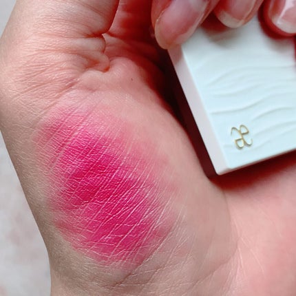 アイカラー プレイフル/エレガンス クルーズ/単色アイシャドウを使ったクチコミ(7枚目)